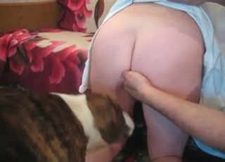 Brown dog drilled her wet cunt in doggy pose