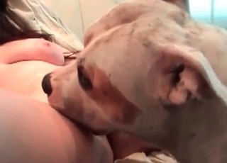 Raw pussy throated by a dog
