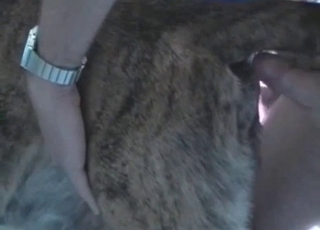 Vibing my own doggy