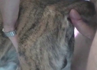 Vibing my own doggy