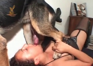 German doggy is plowing like a mischievous one