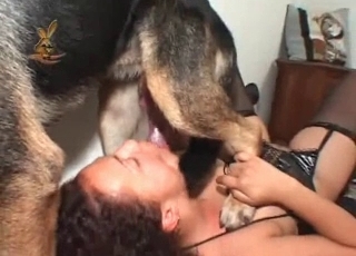 German doggy is plowing like a mischievous one