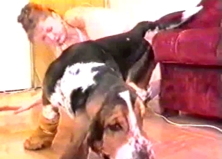 Good meaty dog manmeat fills out her cunt