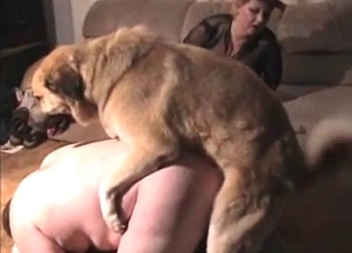 Fat booty screwed by a dog