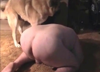 Fat booty screwed by a dog