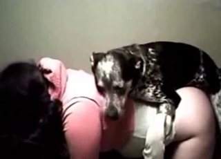 Dog wants to sniff it before sex
