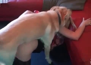 Blonde licked by her doggy
