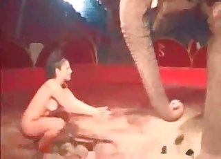 Lovely model can't stop playing with an elephant