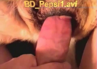 Sticking my wiener in doggy tight ass