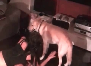 Dog blows a load into her puss