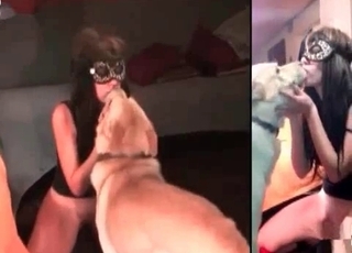 Dog blows a load into her puss