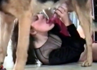 Sexy dark-haired sucking her lovely doggy