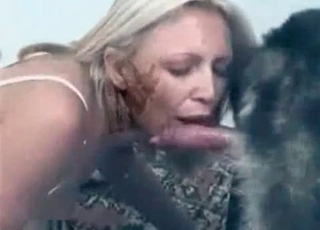 Horny dog gets a BJ from a blonde