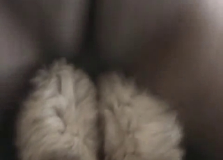 Dog sniffs and tongues my ass rack on cam