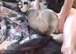 Intense human is fulfilling his fetish by fucking a doggo