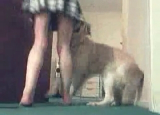 Spycam mutt seduction video here