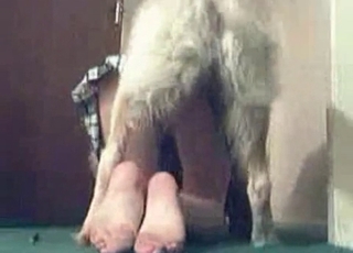 Spycam mutt seduction video here