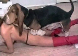 Thong-wearing slut licked by a dog
