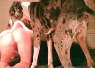 Blonde gets it from a meaty hound