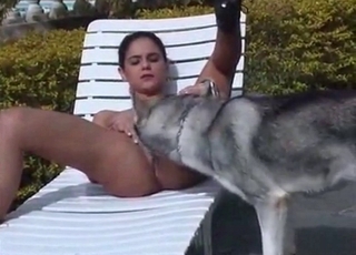 Shaved pussy licked by a dog