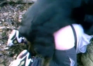Filthy dark-hued mutt hardly banged her puss