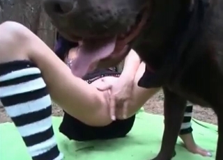 Doggo gets passionately fucked by a supreme slut