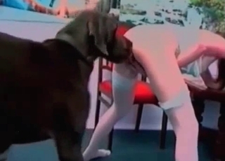 Puny slut is banging with a Doberman