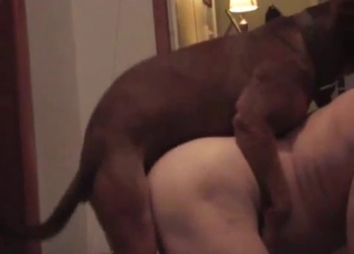 Doggy style banging for a big booty zoophile