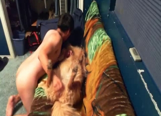 Dude playing with his sexy doggy on cam