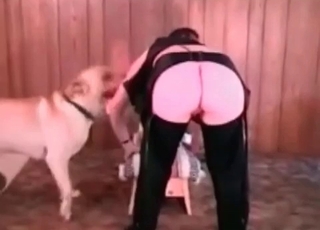 Impressive blowjob hookup with a good-looking rear end