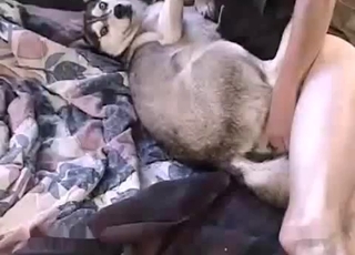 Slowly banging my trained young husky