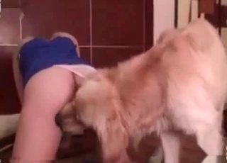 Honey blows her dog after sex