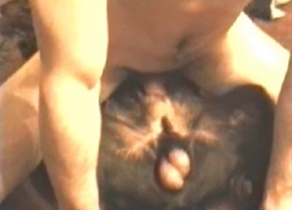 Nice dog for the bestial sex