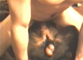 Nice dog for the bestial sex