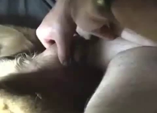 Playing with my playful retriever in close-up