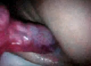 Rear end cock creams a jiggly snatch