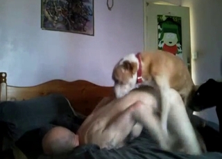 Skinny bald got hot analyzed by his own mutt