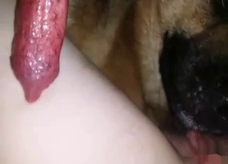 Sexy doggy fucked her wet vagina