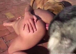 Deviant gets drilled by a dog