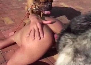 Deviant gets drilled by a dog