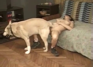 Ass to butt bestiality sex with retriever