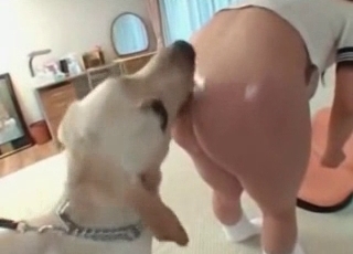Doggy is having a nice bestiality game