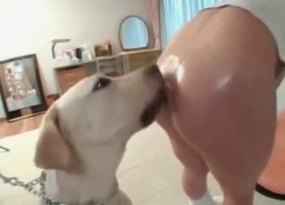 Doggy is having a nice bestiality game