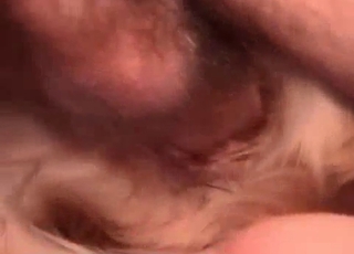 Dude is using his retriever for nasty delight