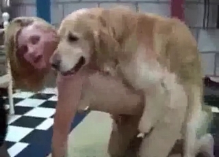 Dogs pounding fast and raw