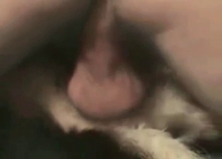 Crazy sex in the doggy fashion pose with an brute