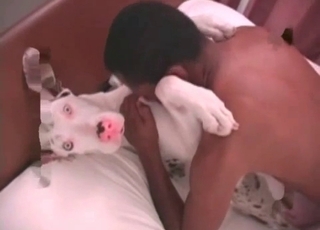 Ginormous dog is being anally fucked