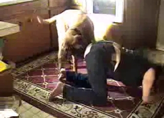 Handsome mutt fucked her wet hole