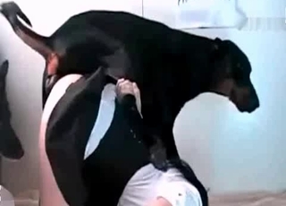 啪啪