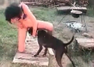 Tiny black doggo is having an incredible beast lovemaking session